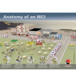 Anatomy of an MCI Poster