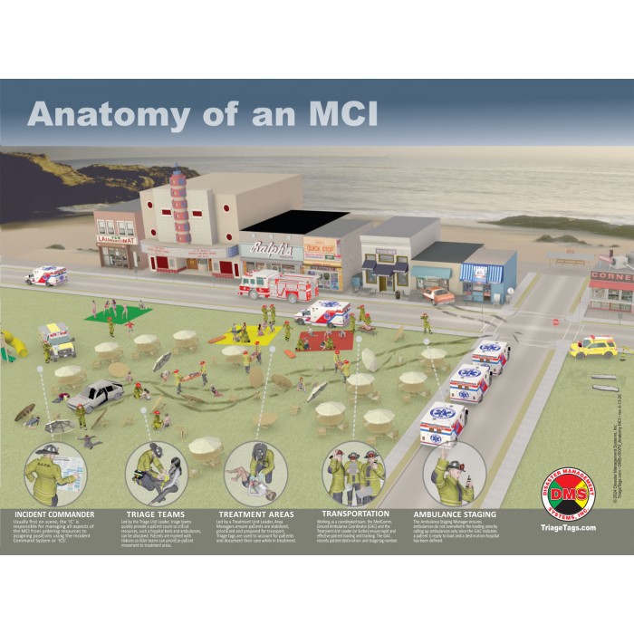 Anatomy of an MCI Poster
