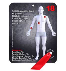 SALT Active Shooter Victim Cards - Deck of 32