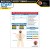 Mass Casualty Incident Command Worksheet Pads - Pack of 4