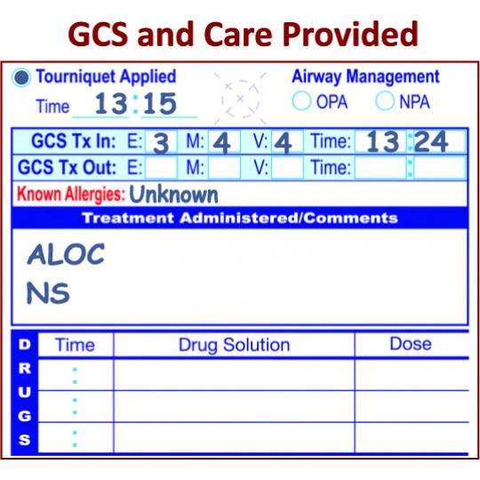 All Risk® Triage Tags with Patient Wristband