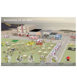 Anatomy of an MCI Poster