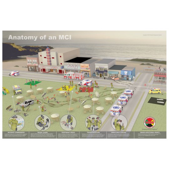 Anatomy of an MCI Poster